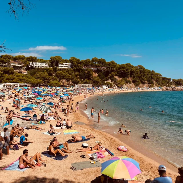 Zonnige baai met strand, parasols en dennenbomen
